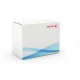 XEROX  497K17720